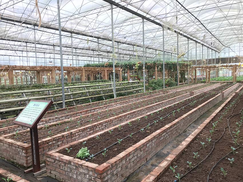 盈新发展—四连板 筹划收购长.兴半导体控制权