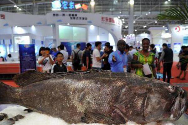 跨境业务!成上市系支付机构扩张要点