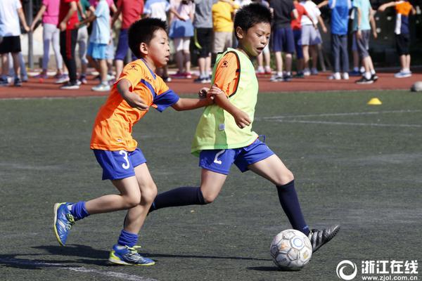 公募基金中报开始{披}露，有债基营业支出降了，利润却大跌？