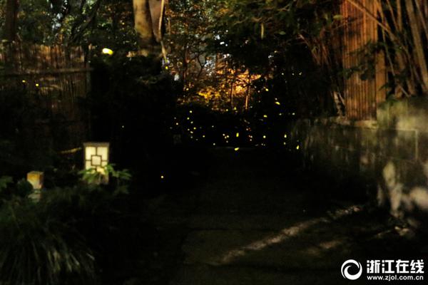 ven‘m’o推出借记卡现金返还奖励计划