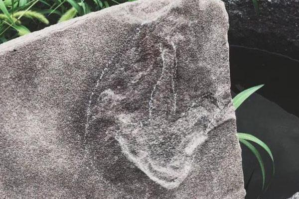 文!科股份：控股股.东为佛山市建设发展集团有限公司