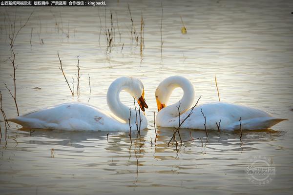 从提!供保,护到创造价值 ai开启半导体封测新格局
