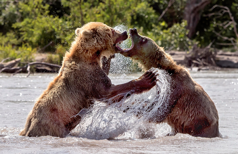 为什么这次;是北京先松绑？<>